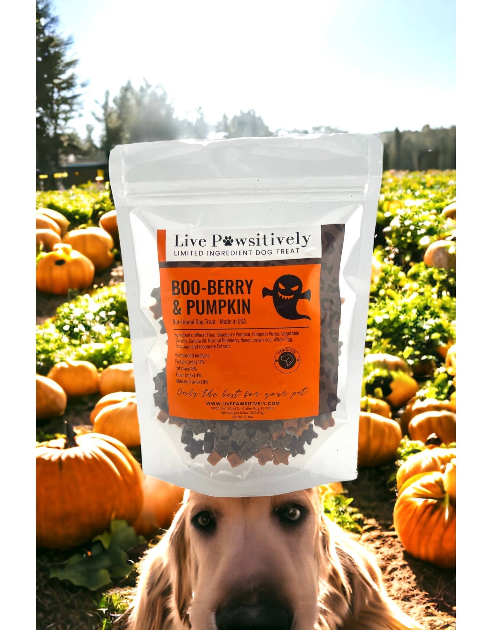 Live Pawsitive Boo-Berry & Pumpkin Dog Treats