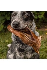 Farm Hounds Bulk Chew: Beef Ear with Hair