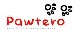 Pawtero | Dog Grooming Salon in New Haven & Bridgeport, CT
