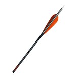 Carnage Hermes Feathered Carbon 32", 12 PK. , .006 Straightness