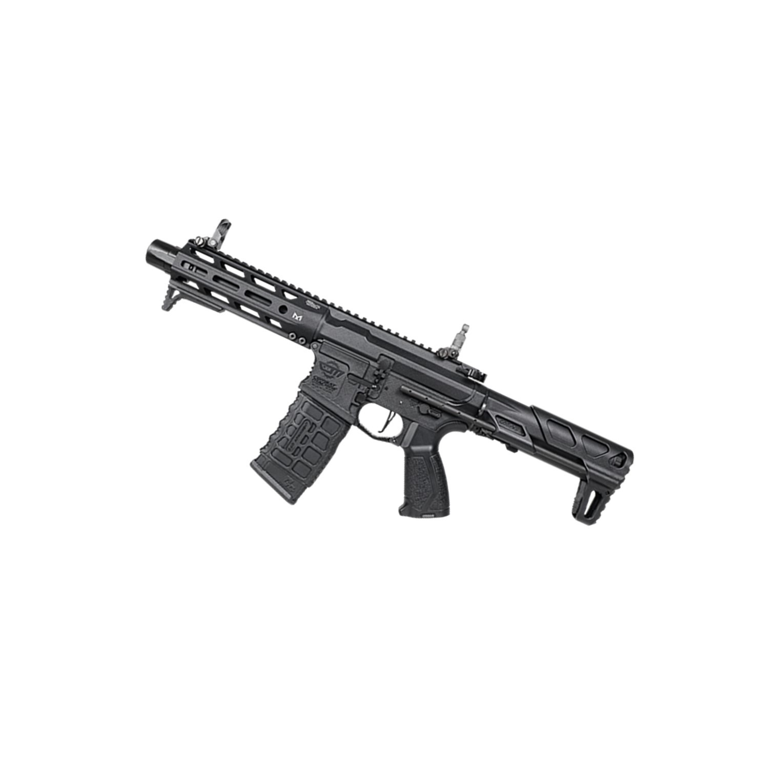G&G Armament ARP556 2.0