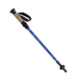 Alps Mountaineering Excursion Trekking Pole