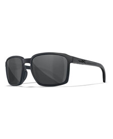 Alfa Grey Lens/ Matte Black Frame