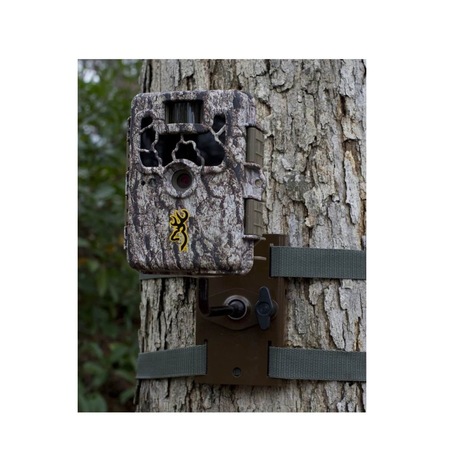 Trail Camera Tree Mount
