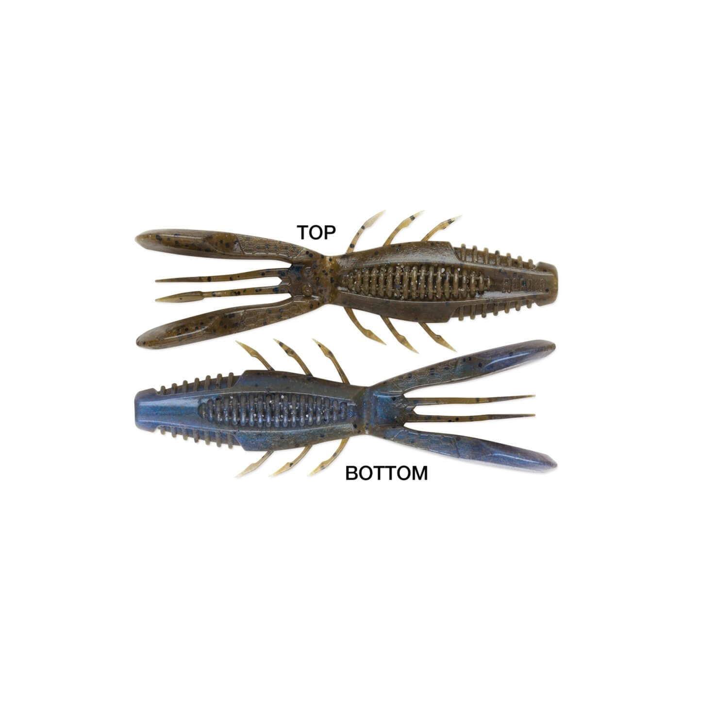 Rapala  Crush City Bronco Bug 4", 6 Pack
