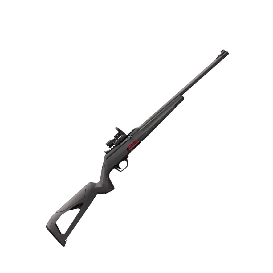 Winchester Wildcat 22 Combo