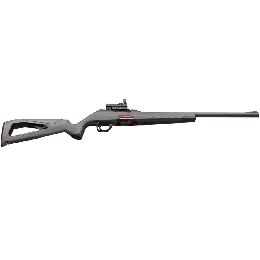 Winchester Wildcat 22 Combo
