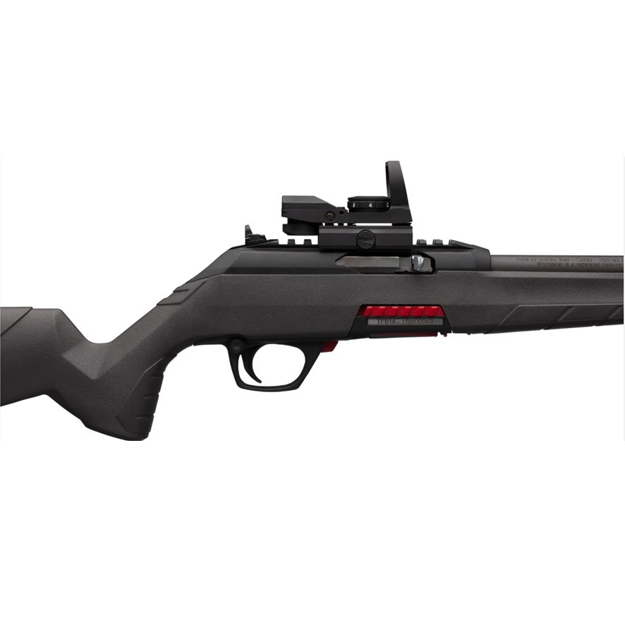 Winchester Wildcat 22 Combo