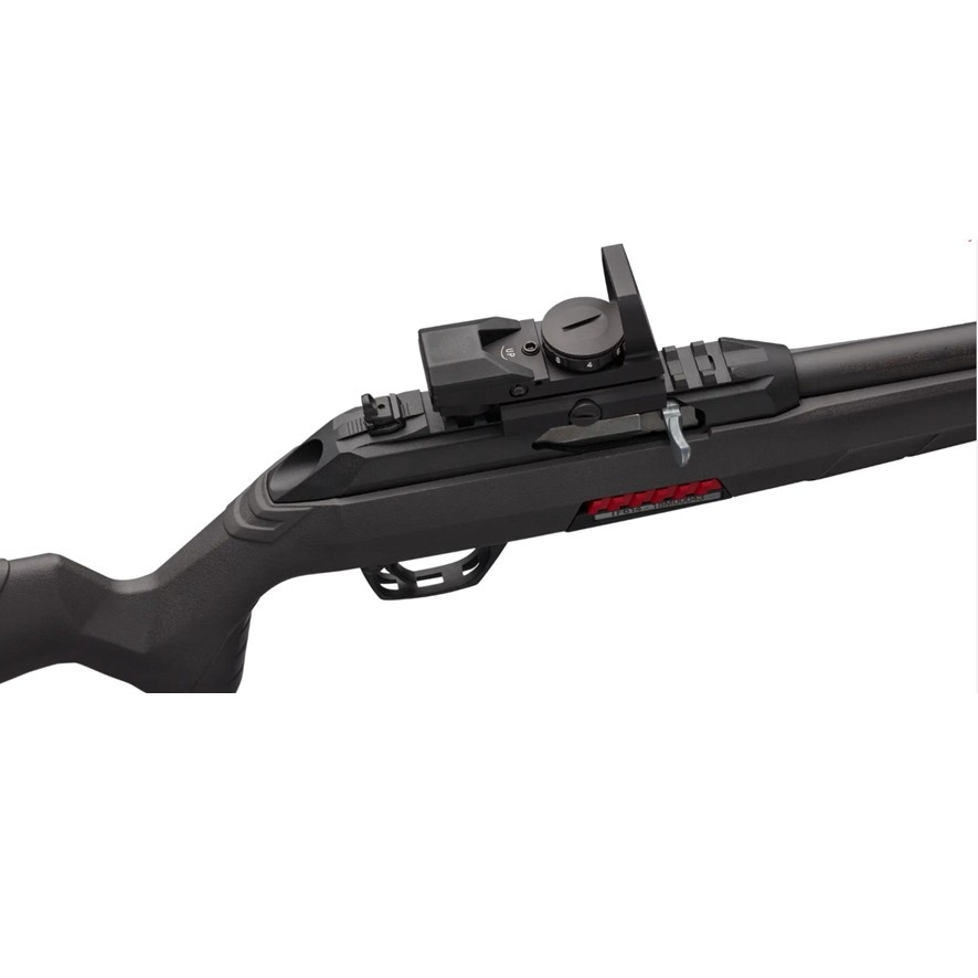Winchester Wildcat 22 Combo