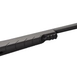 Winchester Wildcat 22 Combo
