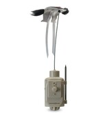 Western Rivers Pro Motion Decoy