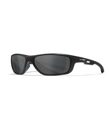 Aspect Grey Lens / Matte Black Frame