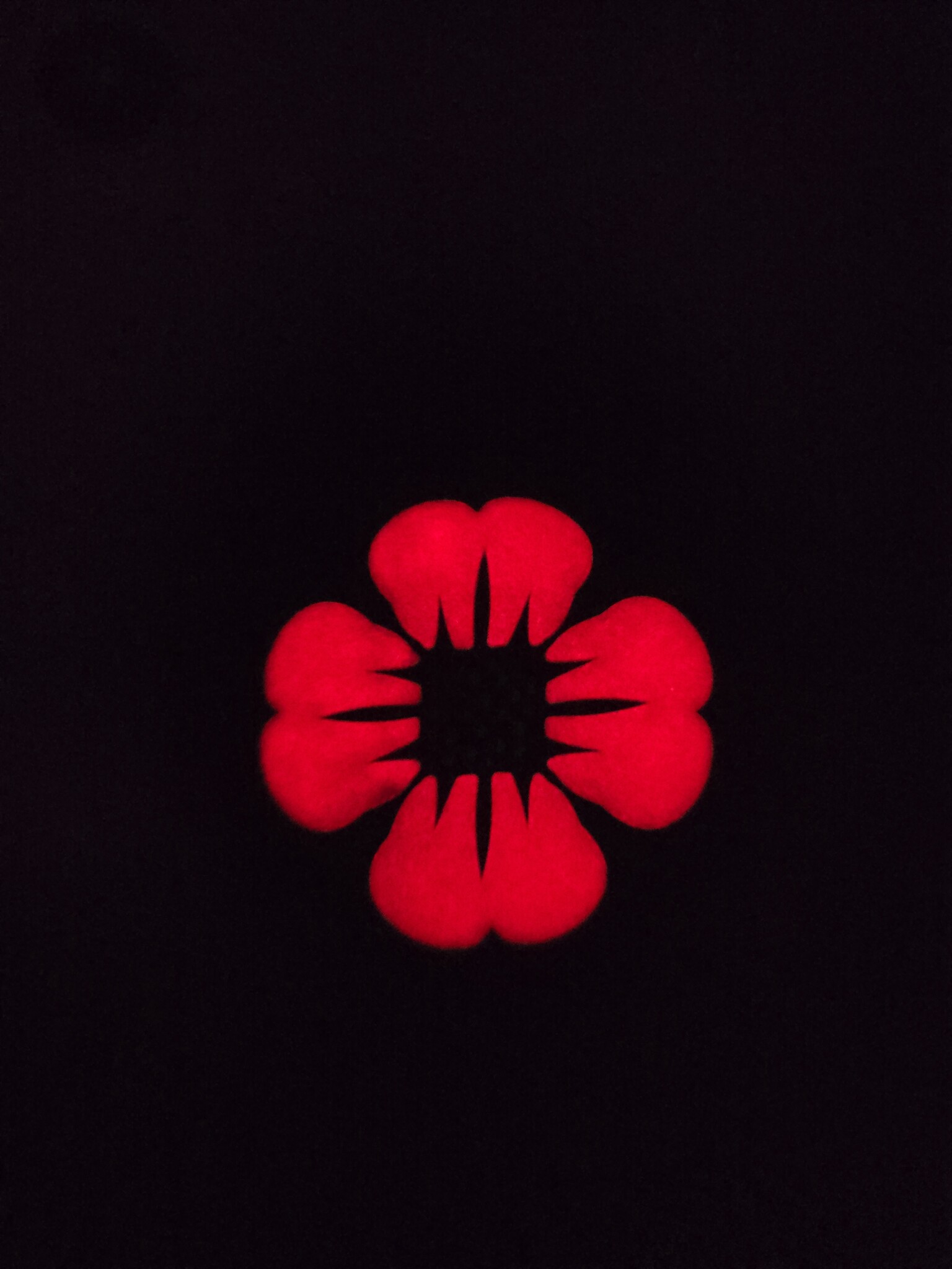 Tactical Innovations Canada PVC Patch - Poppy - Glow