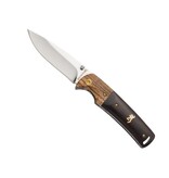 Browning Buckmark Hunter Folder