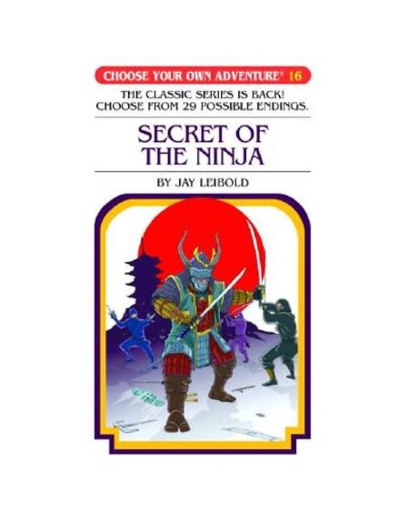 Secret of the Ninja - Castle Toys and Games LLC