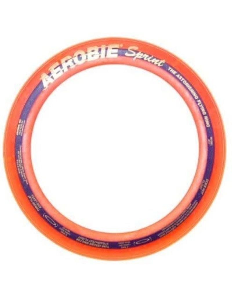 Aerobie 10" Aerobie Flying Ring