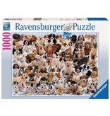 Ravensburger Dogs Galore! 1000 pc