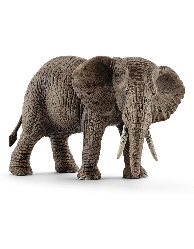 Schleich African Elephant female