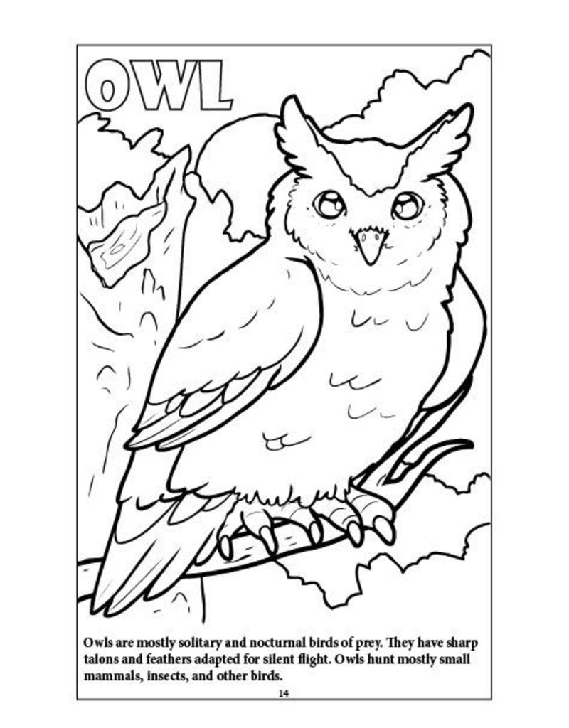 Really Big Coloring Books Fish, Feathers, Fur & Friends Travel Coloring