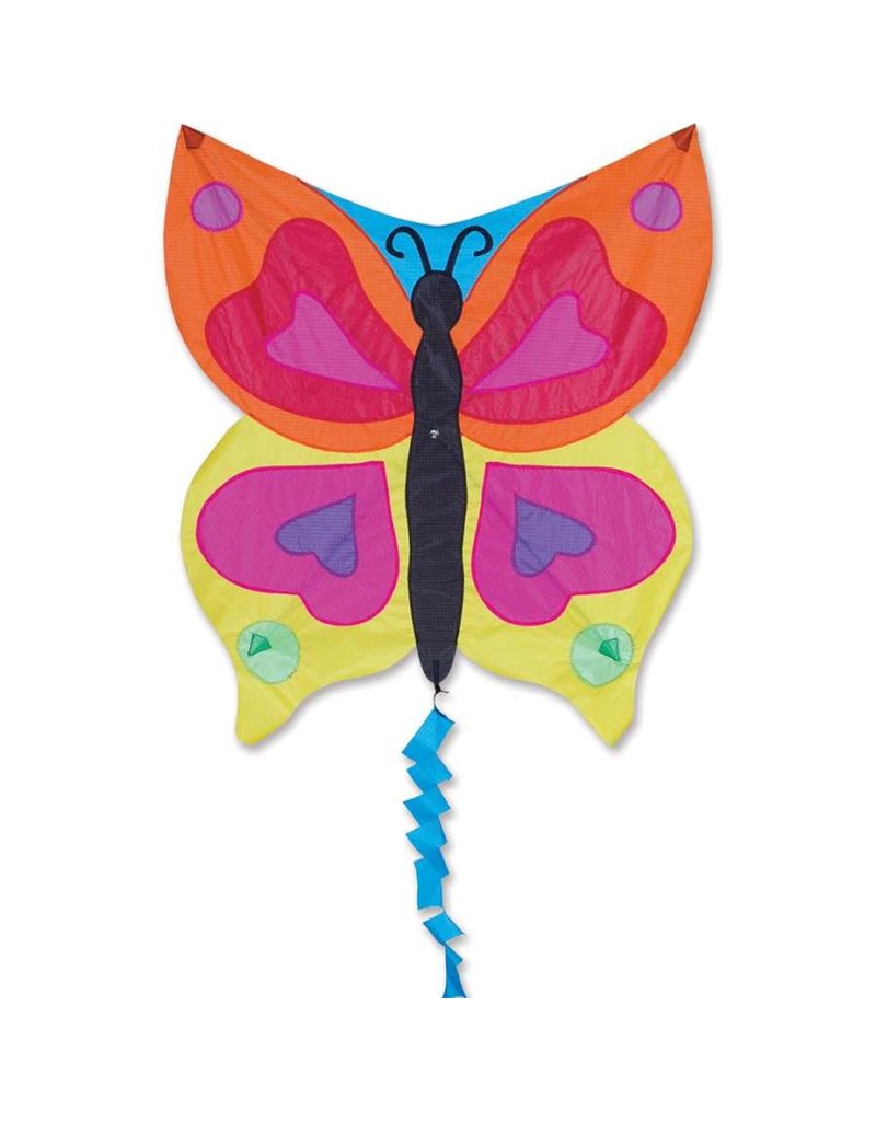 Premier Kites Fun Flyer Kite Rainbow Butterfly