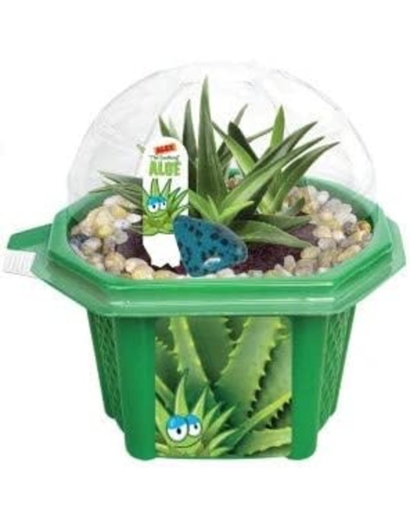 Silver Circle Alex the Soothing Aloe Micro Dome