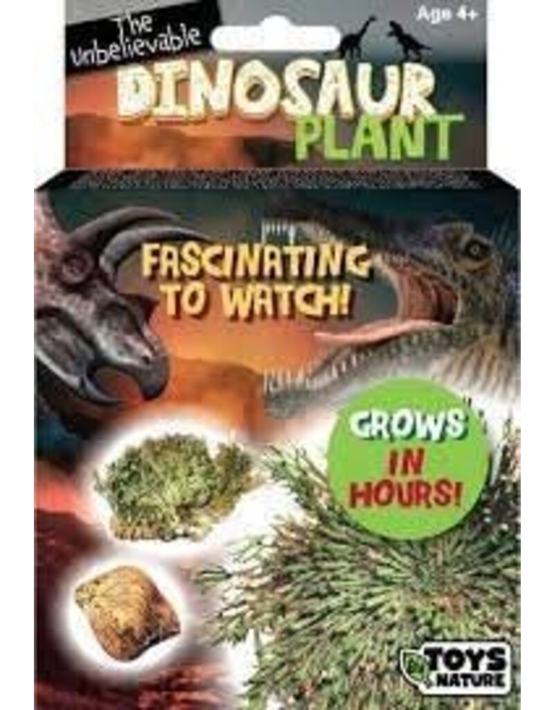 Toys by Nature Dinosaur Plant