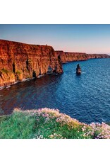 DECOR CLIFFS OF MOHER - REED DIFFUSER