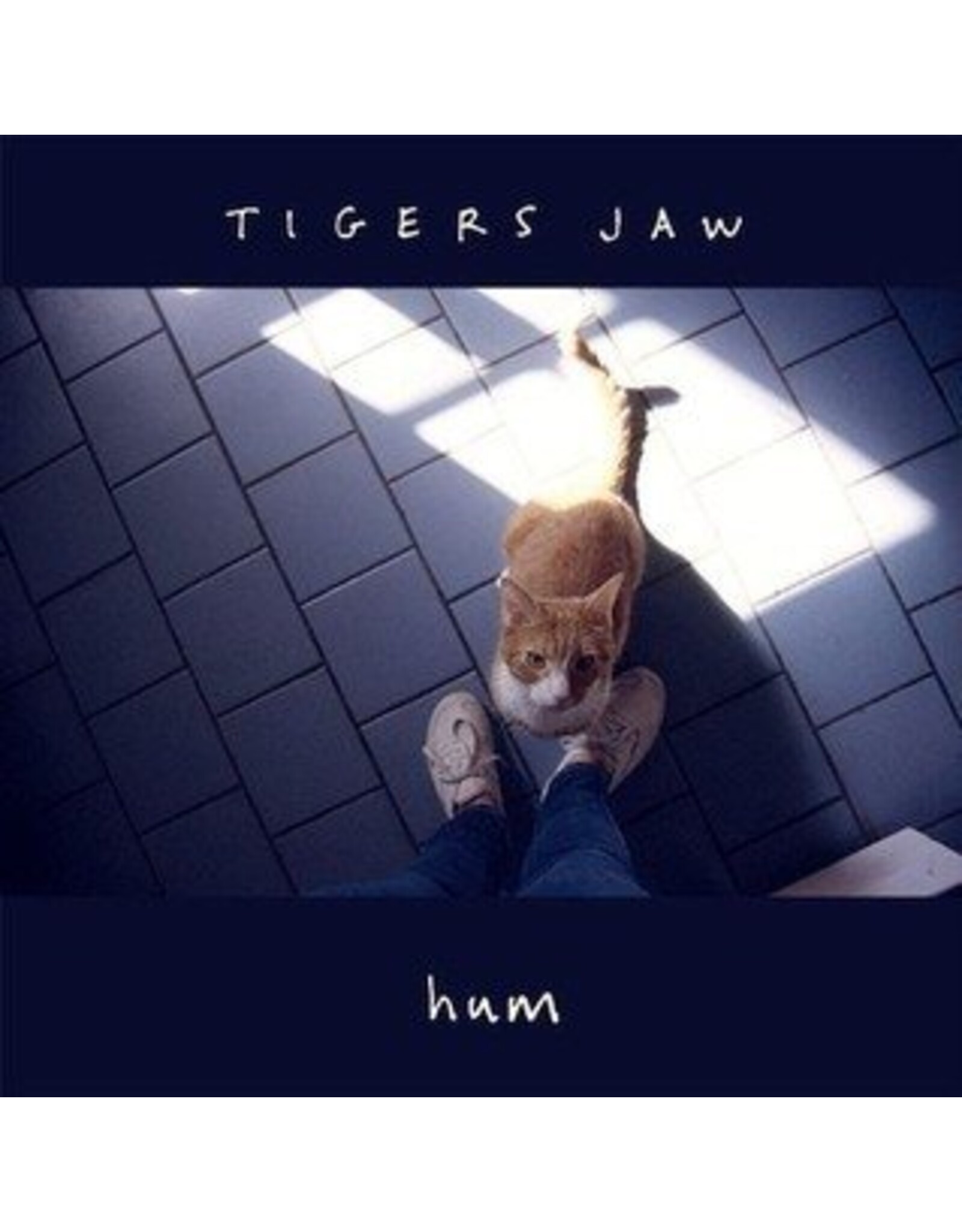 Tigers Jaw - Hum