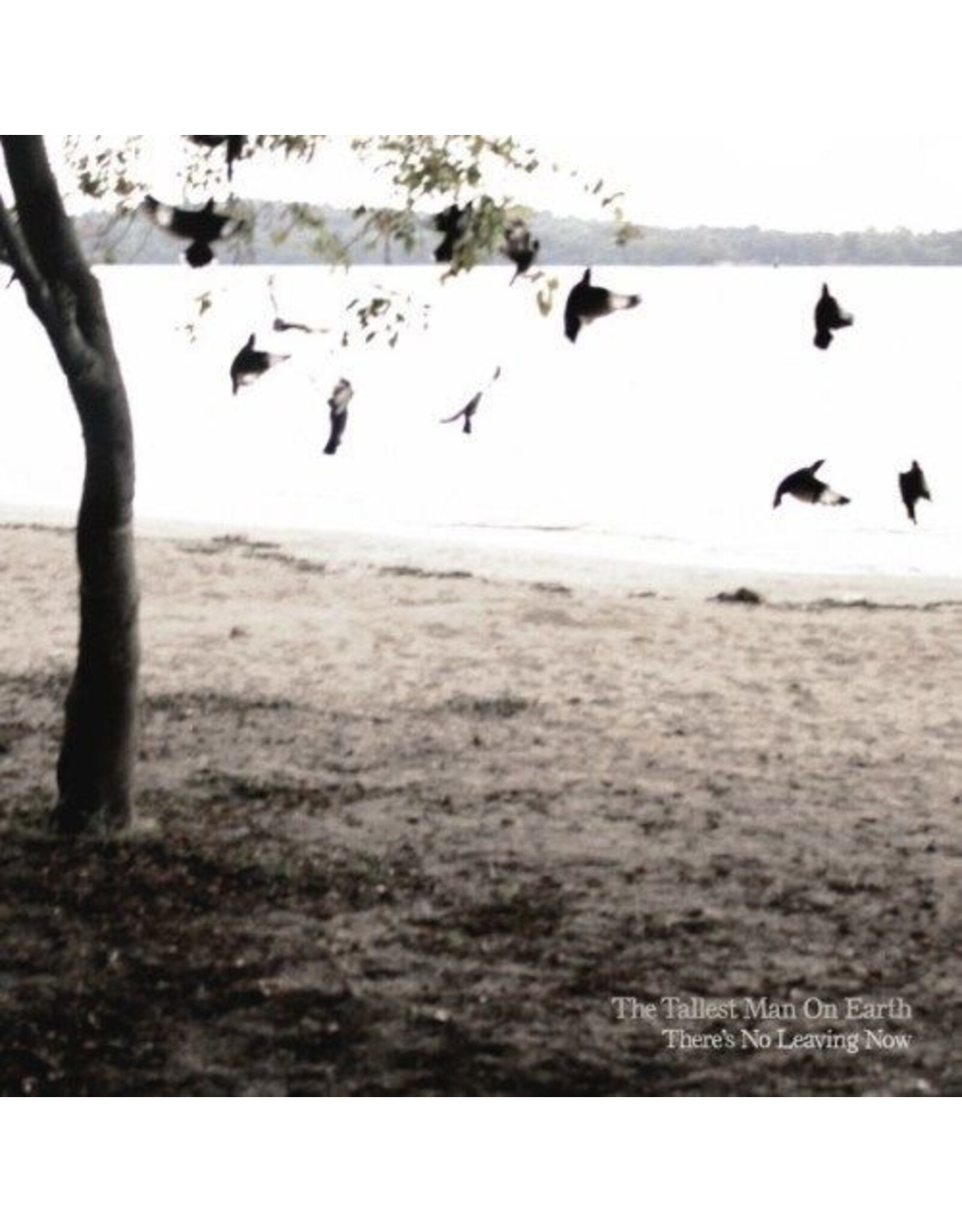 The Tallest Man on Earth - There's No Leaving Now