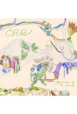 Chris Robinson Brotherhood - Barefoot in the Head