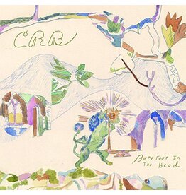 Chris Robinson Brotherhood - Barefoot in the Head