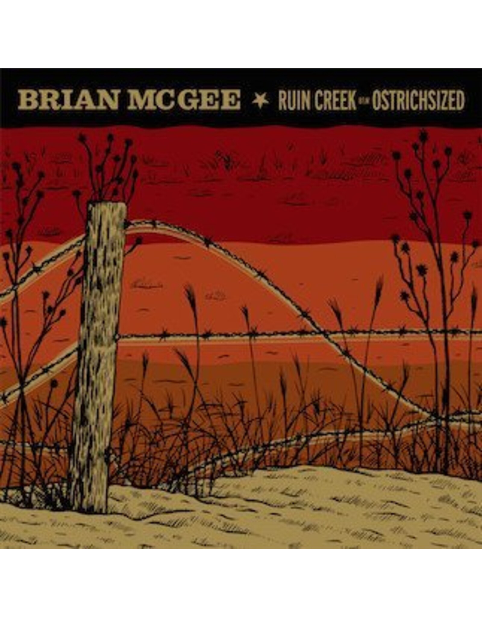 Brian McGee - Ruin Creek b/w Ostrichsized 7"