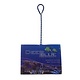 Deep Blue Net 6" Coarse