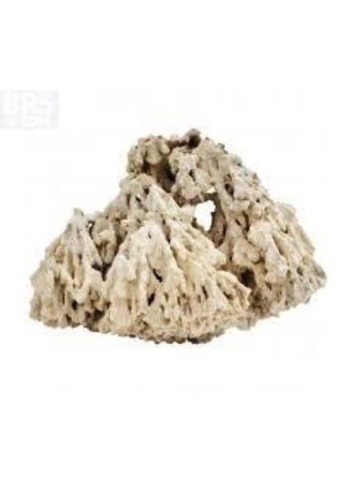 Pukani Dry Rock Per Pound