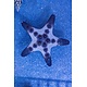 Chocolate Chip Star