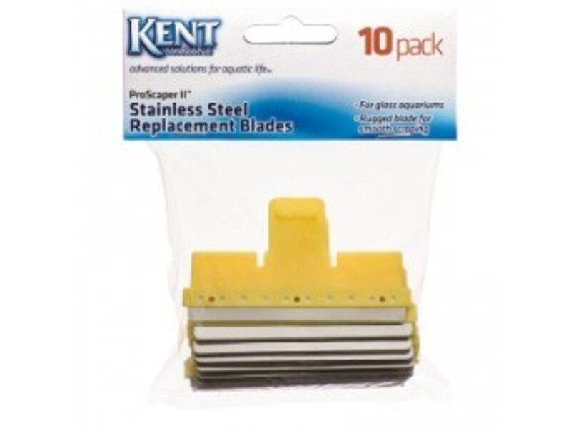 Kent Kent Marine 3 Pack S/S Scraper Blades