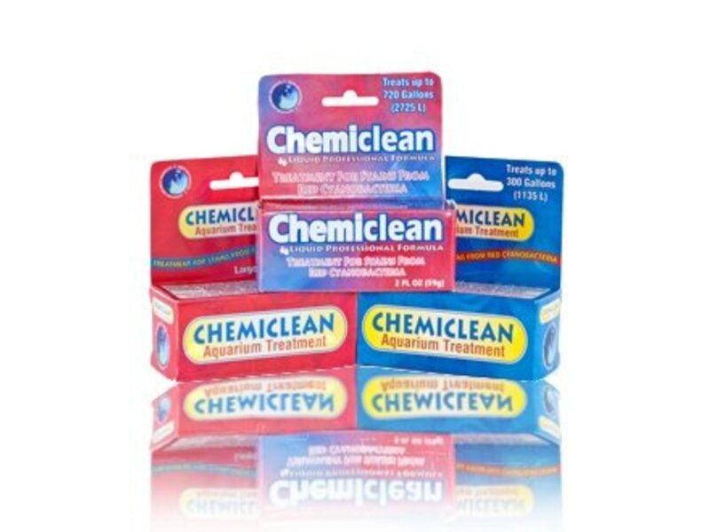 BOYD ENTERPRISES ChemiClean 6g