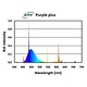 ATI 24w Purple Plus T5 Bulb