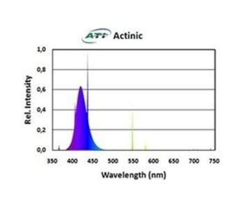 ATI ATI 24w Actinic T5 Bulb