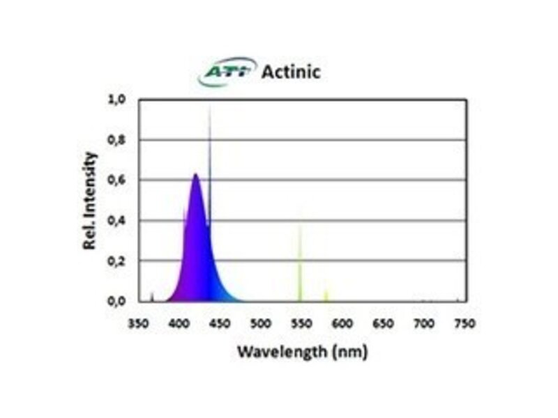 ATI ATI 24w Actinic T5 Bulb
