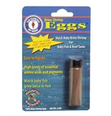 San Francisco Brine Shrimp Eggs