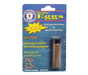 San Francisco Brine Shrimp Eggs