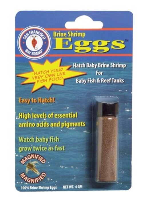 San Francisco Brine Shrimp Eggs