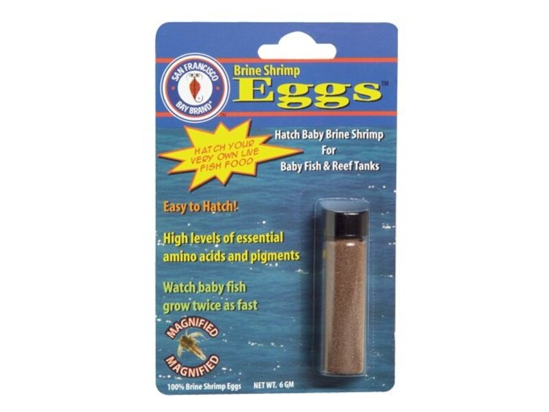 San Francisco Brine Shrimp Eggs