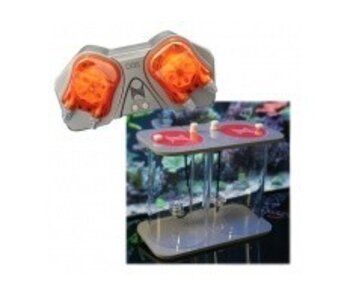 Neptune Neptune DOS + DDR ~ Limited Time Combo Package