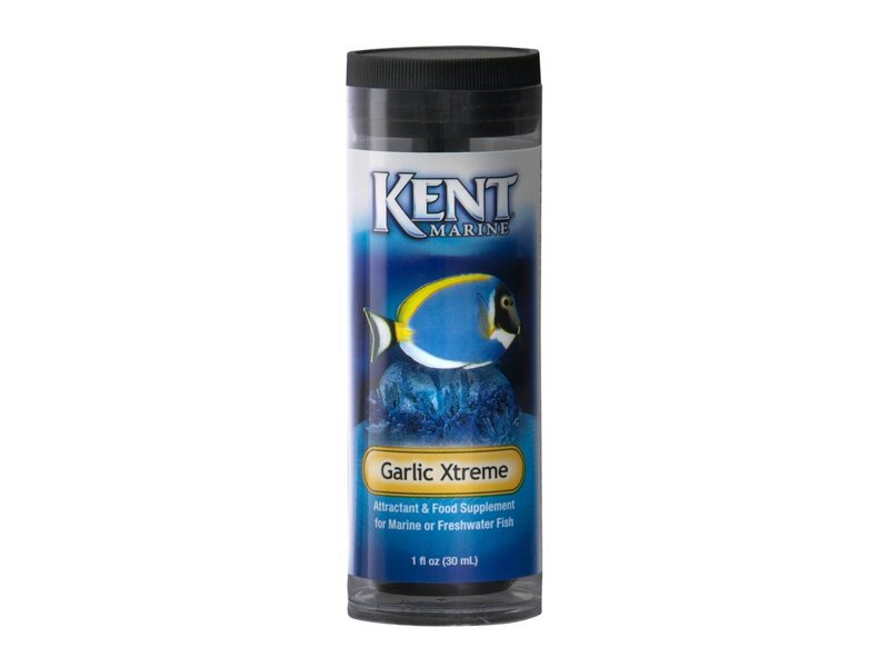 Kent Kent Garlic Xtreme 1floz