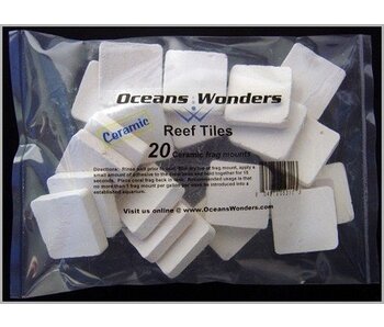 Ocean Wonders Ocean Wonders 2" Frag Tile