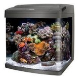 Coralife Coralife LED Biocube 32g