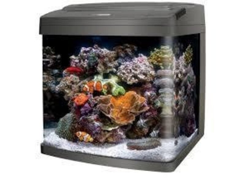 Coralife Coralife LED Biocube 32g