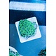 TMA Green Goniopora - Indo